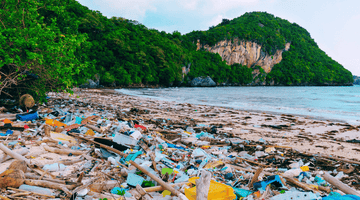 5 Really Easy Ways to Reduce Plastic Use Today